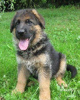 Jack